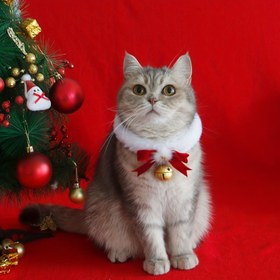 Resim 1 adet Şenlikli Kedi Noel Kolyesi Kırmızı Kurdele ve Altın Zil ile - Küçükten Büyüklerine Polyester Pet Kolyesi, Tatil Kutlamaları, Noel Aksesuarları, Kedi Giysileri, Kedi Kostümü için Mükemmel 