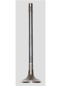 Resim GÜNEŞ 0817-0818 GÜNEŞ SUBAP TAKIMI XSARA 1.6 8V TU5JP 