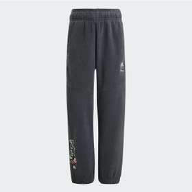 Resim Adidas Carbon/owhıte Çocuk Eşofman Altı Lk Dy Mm Wı Pnt Iv9626 001 