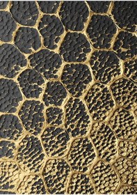 Resim Kanvas Tablo Petek Soyut Modern Siyah Altın 