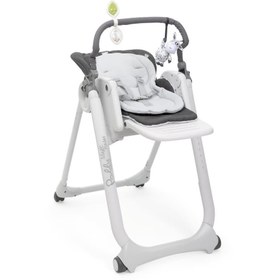 Resim Nessiworld Chicco Polly Magic Relax Mama Sandalyesi Grey Melange 