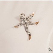 Resim Deniz Yıldızı Elmas Montür Broş Sevgiliye Hediye 