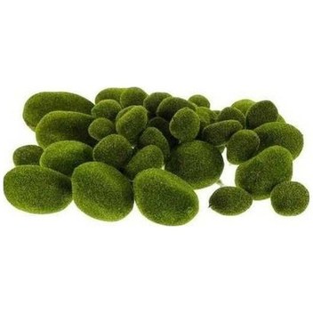 Besthome1 Yeşil Köpük Yosun Bonsai Seti - Mikro Peyzaj Aleti 30+5+8 Boyutlar