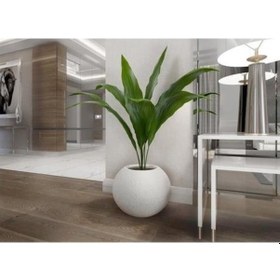 Resim Nuano Consept Gala Serisi Yuvarlak Saksı Koyu Gri 25x20 