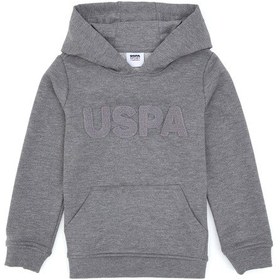 Resim U.s. Polo Assn. Erkek Çocuk Gri Melanj Sweatshirt 50307721-vr086 Gri Melanj 