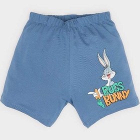 Resim DeFacto Erkek Bebek Looney Tunes 2'li Takım Kısa Kollu Tişört Şort E7693A525SMBE364 Mavi 