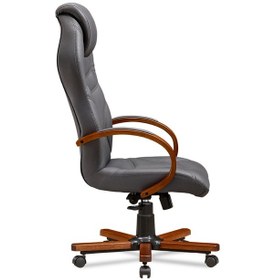 Resim Zeus -bilgisayar - Ofis - Müdür - Büro - Makam Çalışma Koltuğu Renk Ayaklı Antrasit Ahşap 