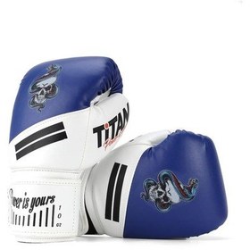 Resim Titan Sport Mavi Beyaz Yılan Kurukafa Boks Eldiveni Çok Renkli 