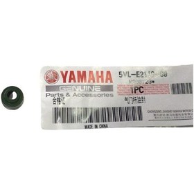 Resim Yamaha Ybr 125 / Ybr-k Subap Keçesi 