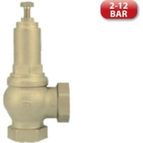 Resim Pakkens Pakkens Ayarlı Buhar Emniyet Ventili 