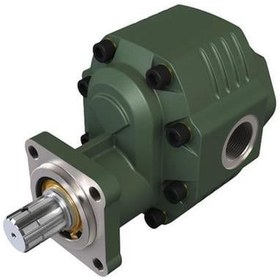 Resim 40 Serisi Iso Disli Pompalar 