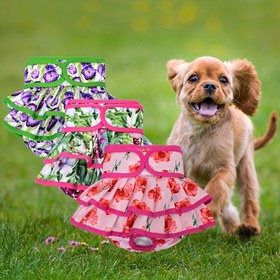 Resim 1 adet Yeniden Kullanılabilir & Yıkanabilir Kadın Köpek Bezi Canlı Çiçek Desenleriyle | Yumuşak, Nefes Alabilen Polyester | Isı Döngüsü & İdrar Kaçırma İçin İdeal | Kullanımı & Temizlemesi Kolay, Isı Döngüsü Bakımı|Şık Evcil Hayvan Giyimi|Yıkanabilir Evcil Hayvan Malzemesi, Köpek Bezi 