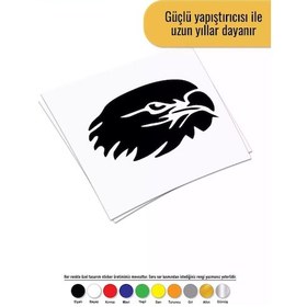 Resim Kartalın Kafası - Araç, Oto, Laptop, Duvar Uyumlu Sticker 40 32 Cm 