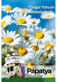 Resim Patika Botanik 100 Adet Tıbbi Aromatik Papatya Tohumu 