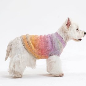 Resim Küçükten Orta Boya Köpekler & Kediler için Gökkuşağı Gradyan Örgü Kazak - Esnek Rahatlık ile Sonbahar ve Kış Evcil Hayvan Kazak, Makinede Yıkanabilir Rahat Süveter, Şık Evcil Hayvan Giyimi, Soğuk Hava İçin Evcil Hayvan Kıyafeti, Nefes Alabilen Kumaş, Kedi Severler 