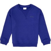 Resim U.s. Polo Assn. Erkek Çocuk Mor Sweatshirt 50313829-vr038 Mor 