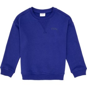 Resim U.s. Polo Assn. Erkek Çocuk Mor Sweatshirt 50313829-vr038 Mor 