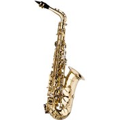 Resim Stagg WS-AS215S Alto Saksafon 