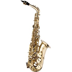 Resim Stagg WS-AS215S Alto Saksafon 