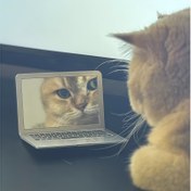 Resim 1 adet Sevimli Taşınabilir Mini Evcil Hayvan Aynası Oyuncak - Plastik, Piller Gerektirmez, Laptop ve Evcil Hayvan Malzemeleri ile Oynama için Mükemmel, Kediler için Mini Ayna 