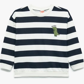 Resim Erkek Bebek Pamuklu Şardonlu Uzun Kollu Bisiklet Yaka Dinozor Baskılı Çizgili Sweatshirt 