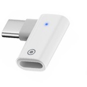 Resim Ally L Tipi Lightning to Type-C Dönüştürücü Apple Pencil Kalem Şarj Adaptörü 