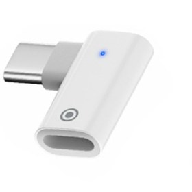 Resim Ally L Tipi Lightning to Type-C Dönüştürücü Apple Pencil Kalem Şarj Adaptörü 