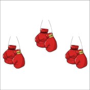 Resim Jet Hızında Jethızında 3'lü Set Boks Eldiveni Araç Kokusu 