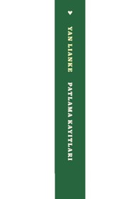 Resim Patlama Kayıtları - Yan Lianke - Can Yayınları 