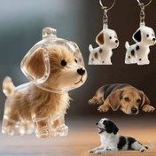Resim 2 Adet/1 Adet Sevimli Köpek Tüyü Saklama Şişesi, Akrilik Şeffaf Karikatür Evcil Hayvan Tüyü Koleksiyon Kutusu, Tatlı Köpek Tüyü Kapsülü 