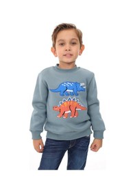 Resim Toontoy Kids Toontoy Erkek Çocuk Relax Fit Bisiklet Yaka Baskılı Sweatshirt - 2iplik Mint 