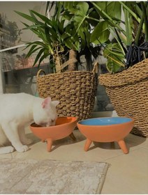 Resim Ath Store Çömlek Kedi Köpek Mama Su Kabı Ayaklı Sırlı 2'li 20 CM 