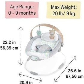 Resim Ingenuity Spot Yatıştırıcı Bebek Zıpzıpı Ahşap Oyuncaklı Yay, Doğal Kauçuk Oyuncak, Emniyet Kemeri, Müzik Ve Otomatik Kapanma, 0 İle 6 Aylık Arasındaki Bebekler İçin, Gri 
