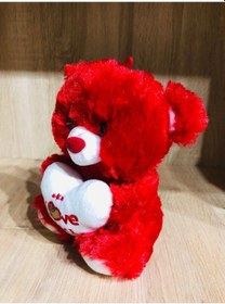 Resim Peluş Ayı Seni Seviyorum Yazılı I Love You Kırmızı Karışık 