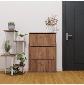 Resim Düşer Kapak Ayakkabılık Kayar Raflı Ayakkabılık 3 Bölmeli Atlantik Çam 