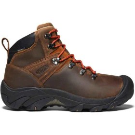 Resim Keen Pyrenees Erkek Bot 