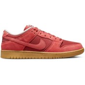 Resim Nike Sb Dunk Low Pro Premium Kadın Sneaker 
