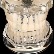 Resim RICH ONE AND ONLY GRILLZ NO.1 