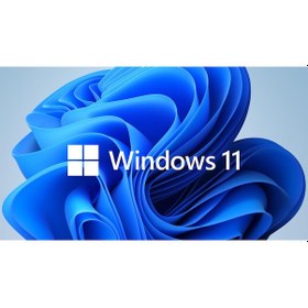 Resim MS Windows 11 Pro FQC-10556 64 Bit TR (Oem) 