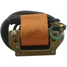 Resim Bobin Ateşleme Zebra - Atv 