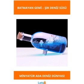 Resim Dekoratif Şişe İçinde Minyatür Batmayan Gemi 1 Adet 