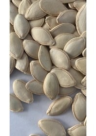 Resim Doğal Çerezlik Kabak Nevşehir Kabak Çekirdeği Tohumu 20 Ad Tohum 