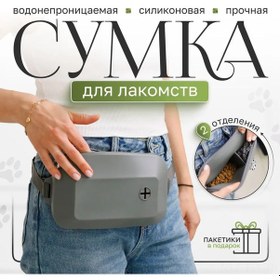 Resim Dianziye Köpek Yemeği Çantası Silikon Materyal 2 Bölmeli Taşınabilir Gezi Besleme Çantası Gri 