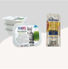 Resim Ans Kedi Çimi + Tavuklu ve Ciğerli 3'lü Ödül Çubuğu 