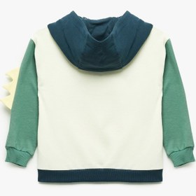Resim Erkek Bebek Dinozor Baskılı Pamuklu Uzun Kollu Şardonlu Kapşonlu Sweatshirt 