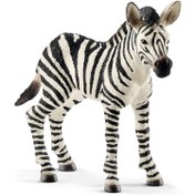 Resim Schleich Yavru Zebra 14811 