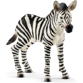 Resim Schleich Yavru Zebra 14811 