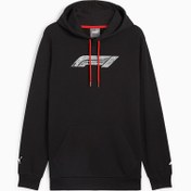 Resim F1 Motorsport Logo GRAPHIC Erkek Kapüşonlu SWEATSHIRT 