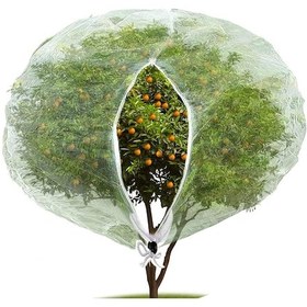Resim Fermuarlı Böcek Koruma Ağı, Bitkileri, Meyveleri, Çiçekleri Ve Kuş Yemelerini Böceklerden Korumak İçin Bahçe Koruması 250 X 250 Cm 250 250cm Diğer 