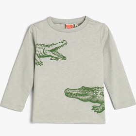 Resim Erkek Bebek Tişört Grafik Timsah Baskılı Uzun Kollu Bisiklet Yaka Pamuklu 